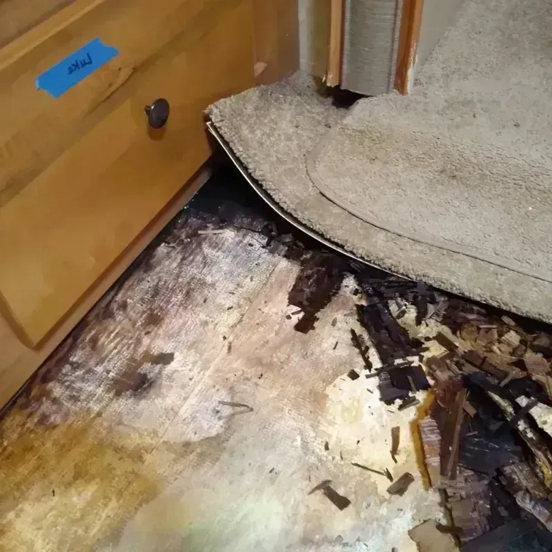 Best Wood Floor Water Damage Service in North Gates, NY